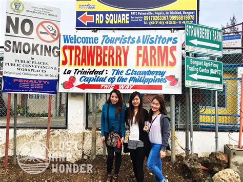 strawberry farm baguio entrance fee